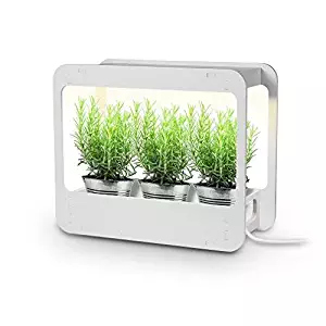 GrowLED Plus Plant Grow Light LED Indoor Garden, Kitchen Garden with Timer Function, 24V Low Safe Voltage, Ideal for Plant Grow Novice Or Enthusiasts, Various Plants, DIY Decoration, White Grow Light