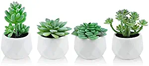 Artificial Plants Desk Fake Succulents Indoor Decor Office Room Decoration Small Tiny Realistic Plants in White Ceramic Potted