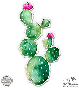 Watercolor Cute Blooming Cactus - 3" Vinyl Sticker - for Car Laptop I-Pad Phone Helmet Hard Hat - Waterproof Decal
