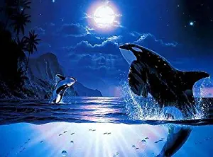 WiHome 5D Diamond Painting Kits for Adults Full Drill Orcas Diamond Embroidery Rhinestone Painting